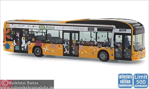 Rietze Busmodell Artikel 67620 M A N Lions City Hybrid Dresdner Verkehrsbetriebe D V B